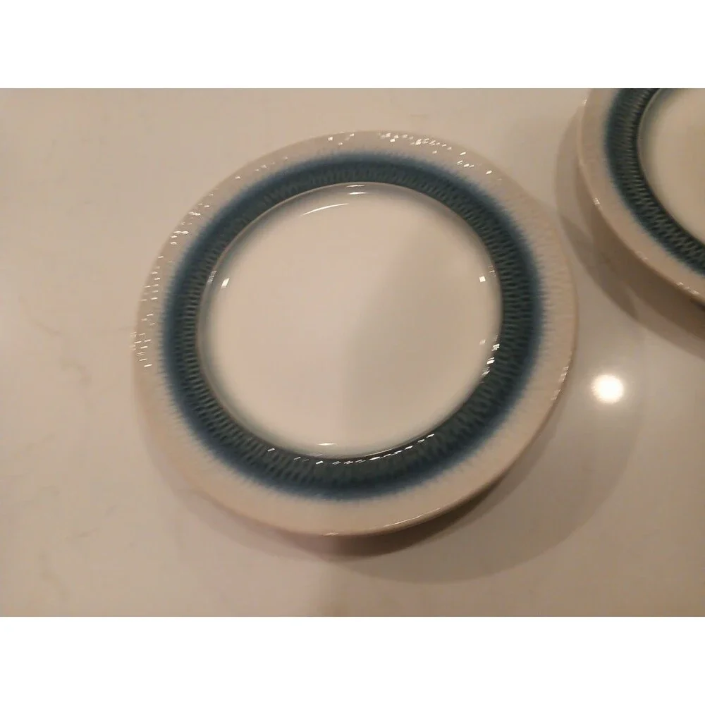 Set Of 2 Beautiful Pfaltzgraff Eclipse Blue 8.25